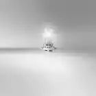 COPPIA LAMPADE OSRAM LED H7 / H18 2V 16.2W PX26d/PY26d-1 6000K 64210DWESY-HCB